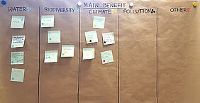 Travail collectif autour d'un tableau traitant des solutions fondées sur la nature